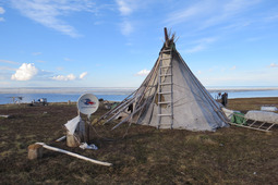 Исследования проходили на территории проживания коренных малочисленных народов Севера
