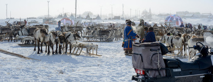 В спортивных соревнованиях по случаю Дня оленевода приняли участие около 300 жителей Тазовской и Находкинской тундры