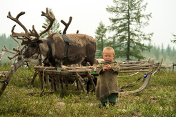 Юный оленевод (фото Данила Хусаинова)