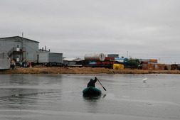 Столяр УЭВП Александр Булдаков спасает лебедя на озере в Ямбурге