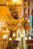 Архиепископ Салехардский и Новоуренгойский Николай