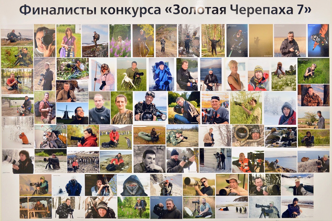 Стенд финалистов