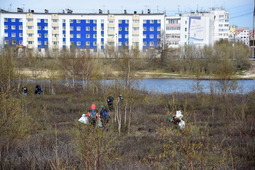 В окрестностях Нового Уренгоя