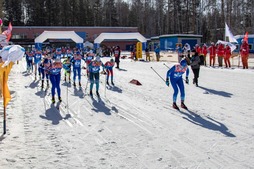 Старт участников лыжной гонки