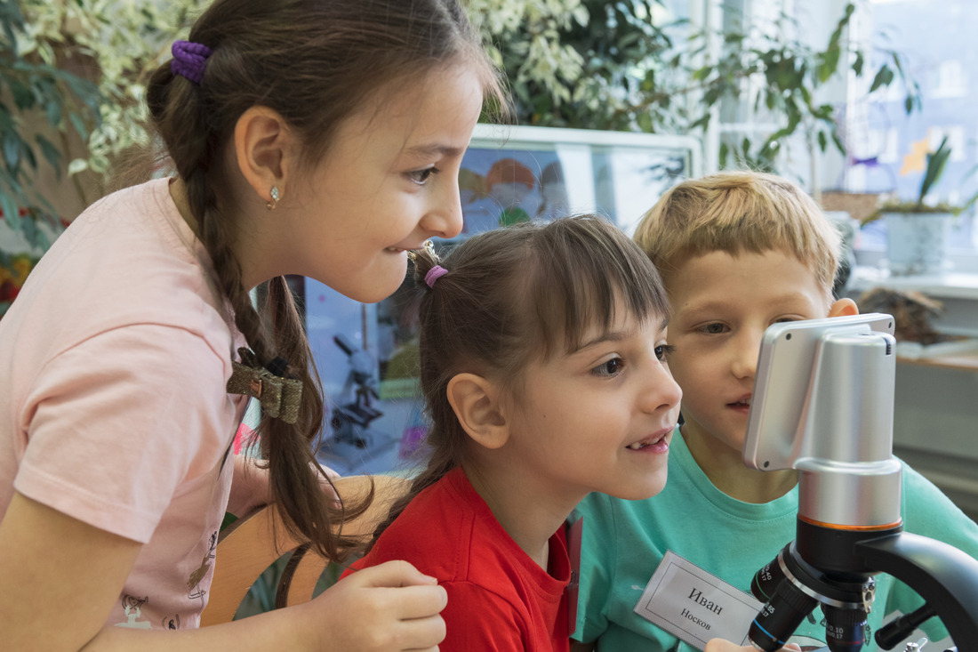 Дошкольники рассматривают бактерии под микроскопом