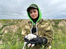 Одной из задач экспедиции стало кольцевание птенцов сапсана