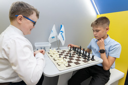 Товарищеский поединок в шахматы