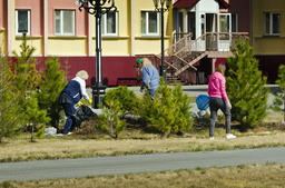 Солнечная рабочая суббота в Новозаполярном