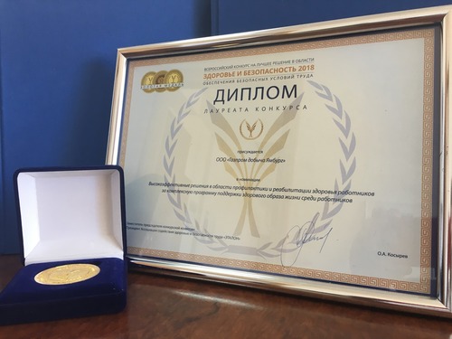 Золотая медаль и диплом лауреата конкурса