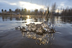 Лед на реке Таз сошел, пора в путь